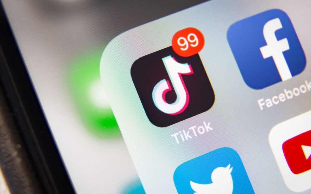 TikTok for B2B – Should You incorporate TikTok Into Your Marketing Strategy?