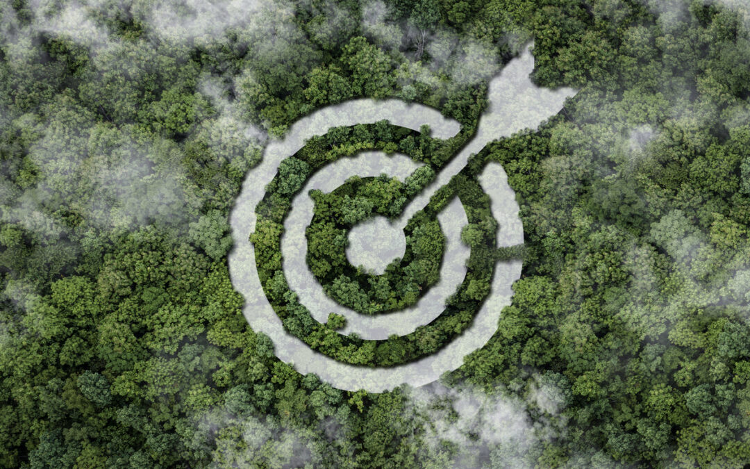 Traditional Marketing vs Sustainable Marketing – What’s the Difference?