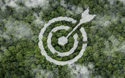 Traditional Marketing vs Sustainable Marketing – What’s the Difference?