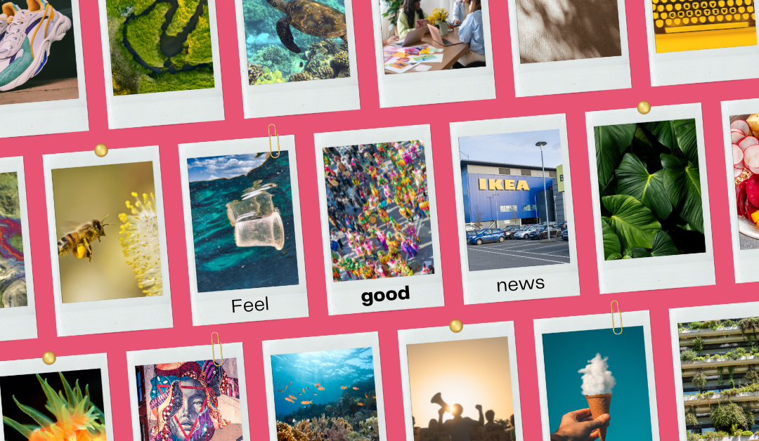 Conscious News Round Up | August