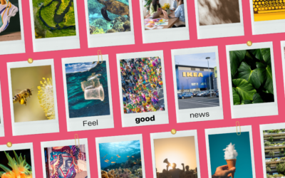 Conscious News Round Up | August