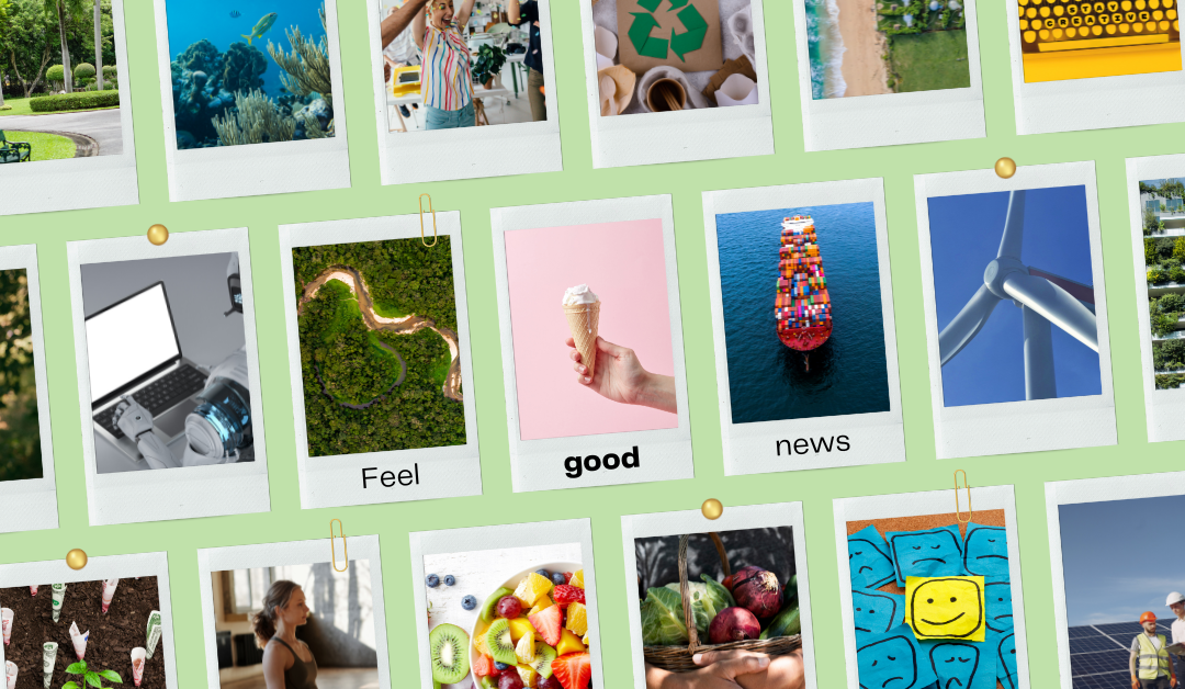 Conscious News Round Up | September