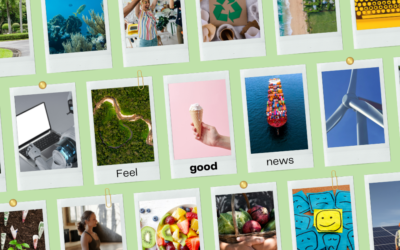 Conscious News Round Up | September