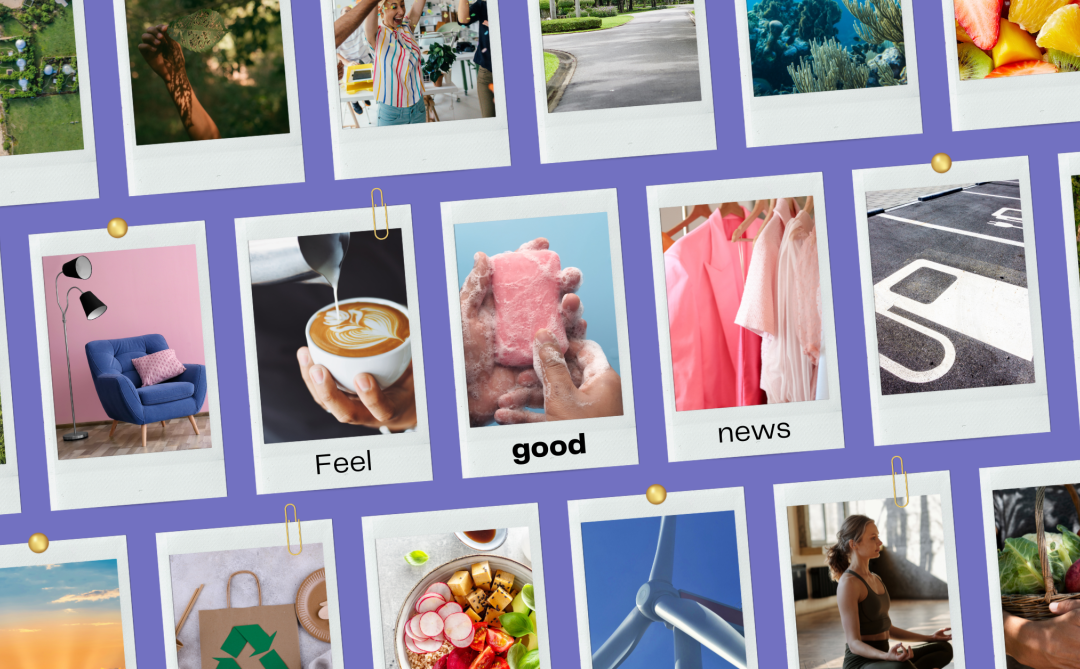 Conscious News Round Up | October