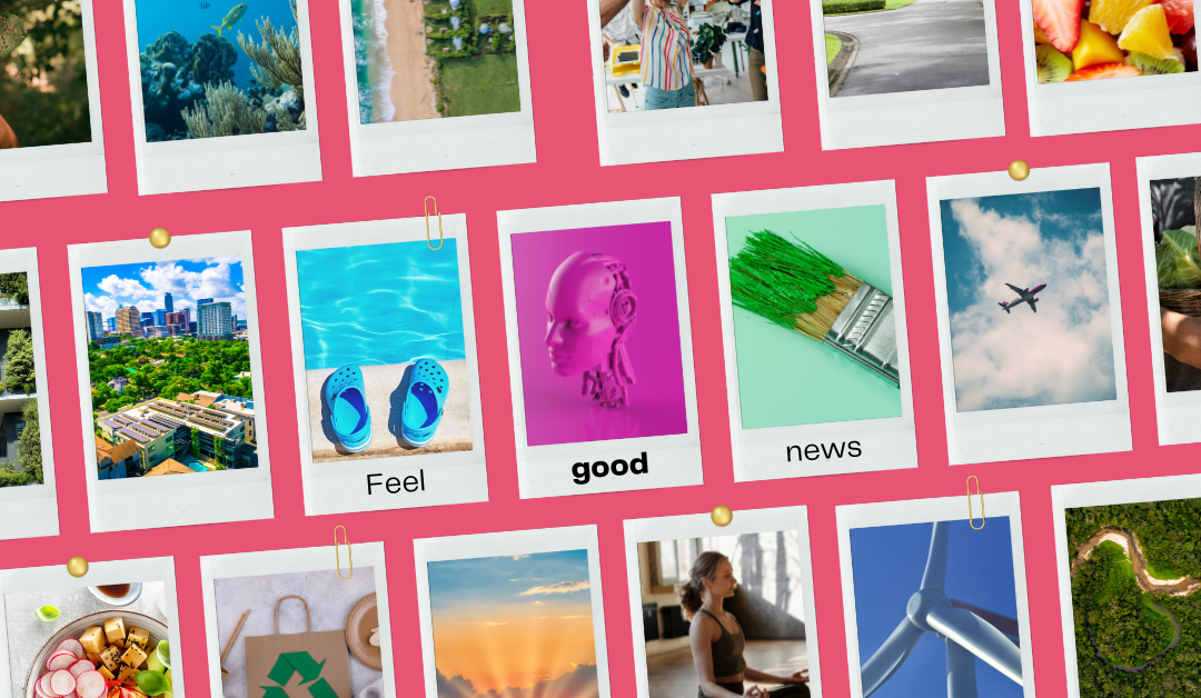 Conscious News Round Up | November