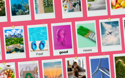 Conscious News Round Up | November
