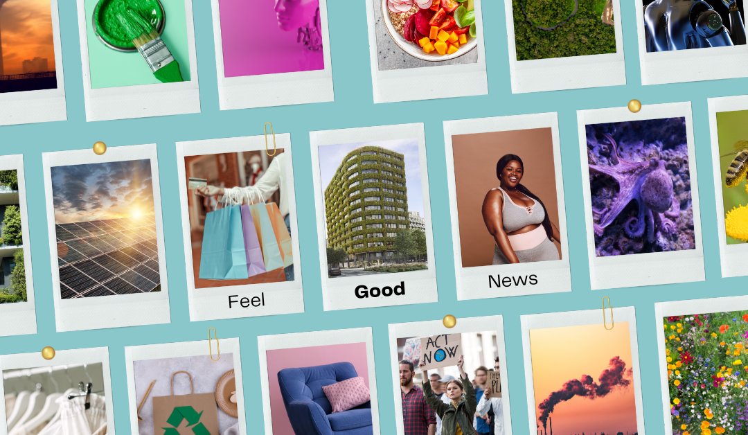 Conscious News Round Up | January