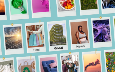 Conscious News Round Up | January