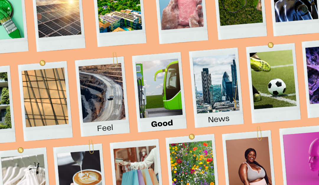 Sustainability News Round Up | February