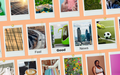 Sustainability News Round Up | February