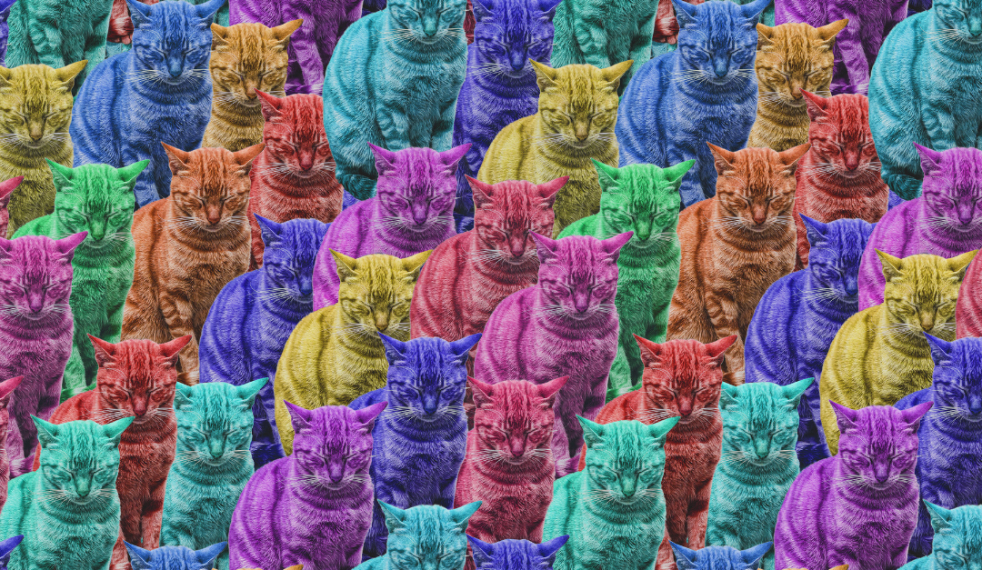 Memes and Marketing: Are you breaking the law without knowing It?