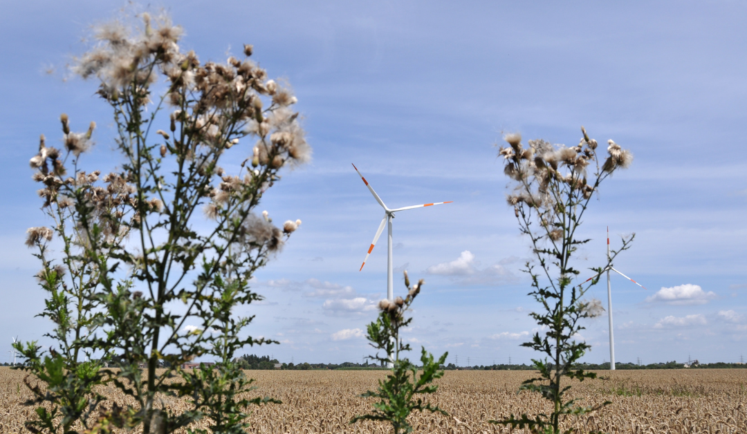 Moving Past Sustainable: The Regenerative Marketing Revolution