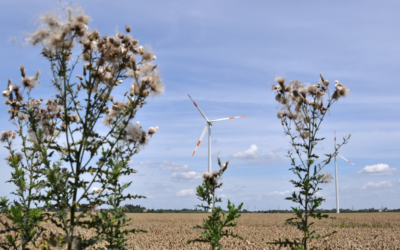 Moving Past Sustainable: The Regenerative Marketing Revolution